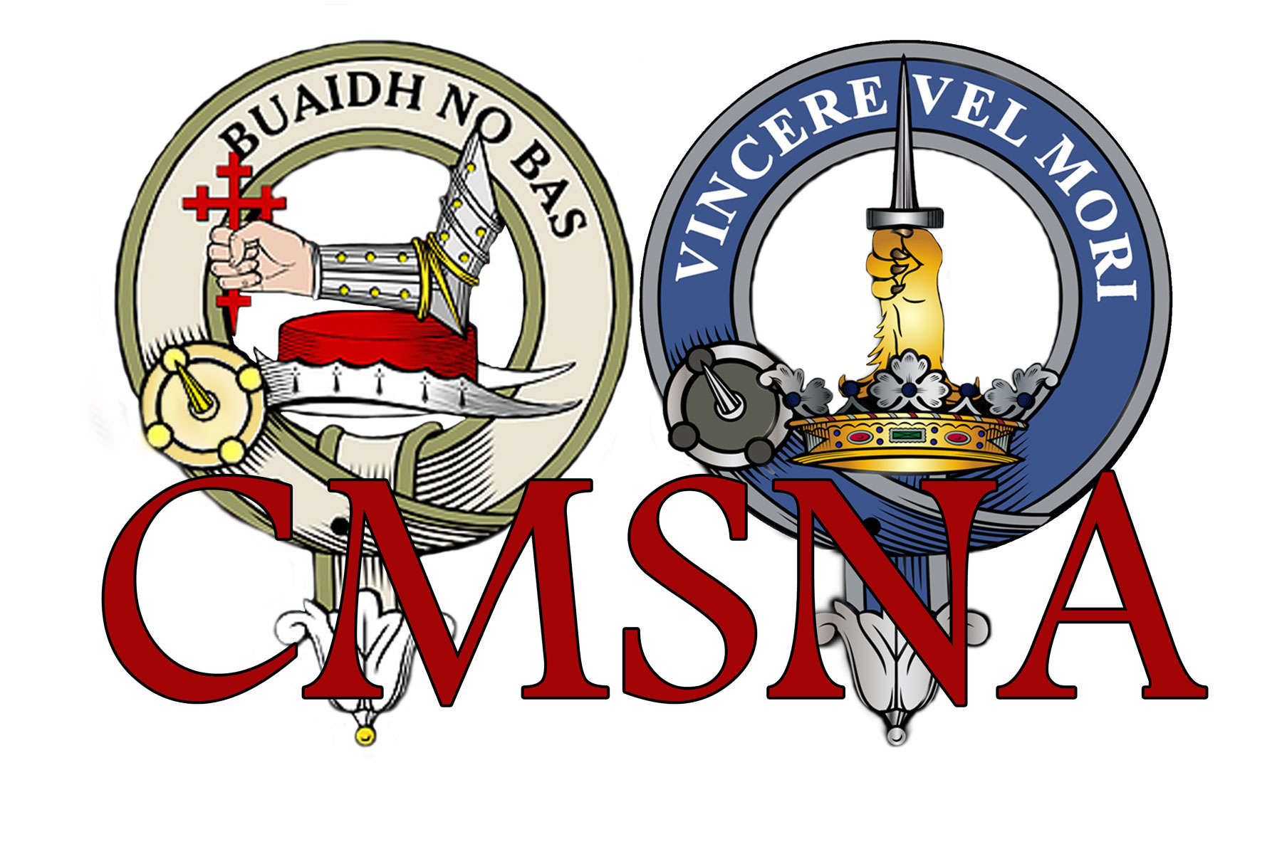 CMSNA Logo